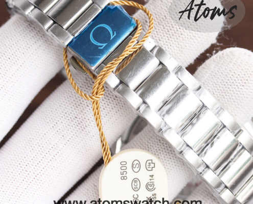 Omega Aqua Terra