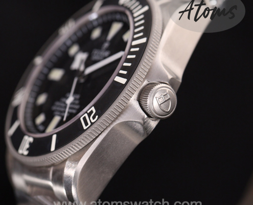 Tudor Pelagos